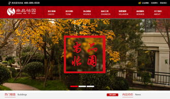 廊坊企業(yè)數(shù)字化轉(zhuǎn)型的堅實伙伴 迅騰網(wǎng)絡(luò)網(wǎng)站建設(shè)經(jīng)典案例解析